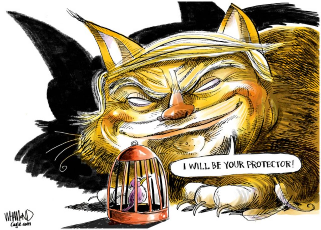 toon