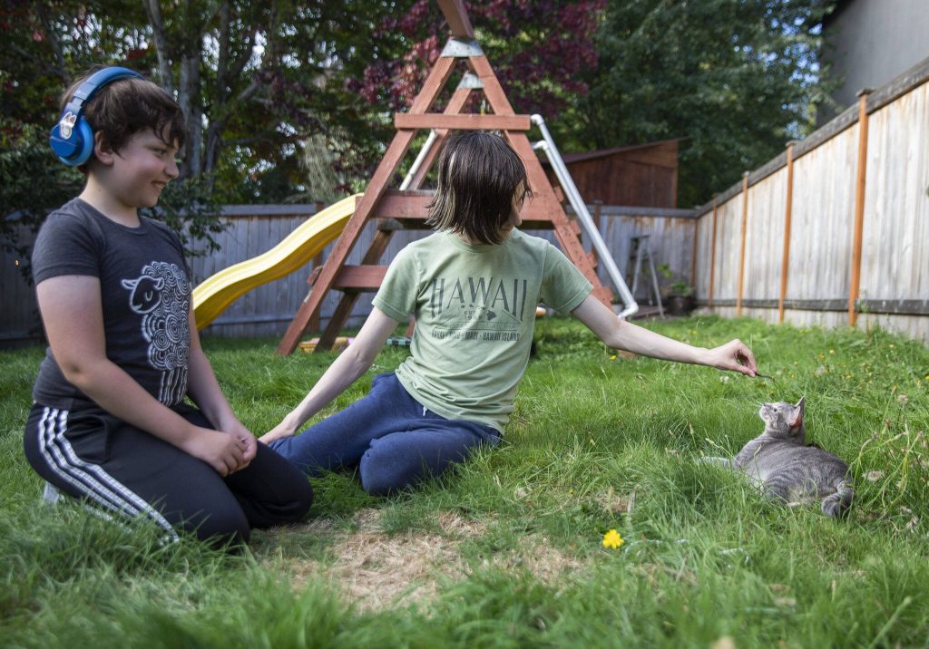 Vincent Knapp, center, and brother Miles, play with their cat Jersey at their home on Tuesday, Sept. 24, 2024 in Arlington, Washington. (Olivia Vanni / The Herald)