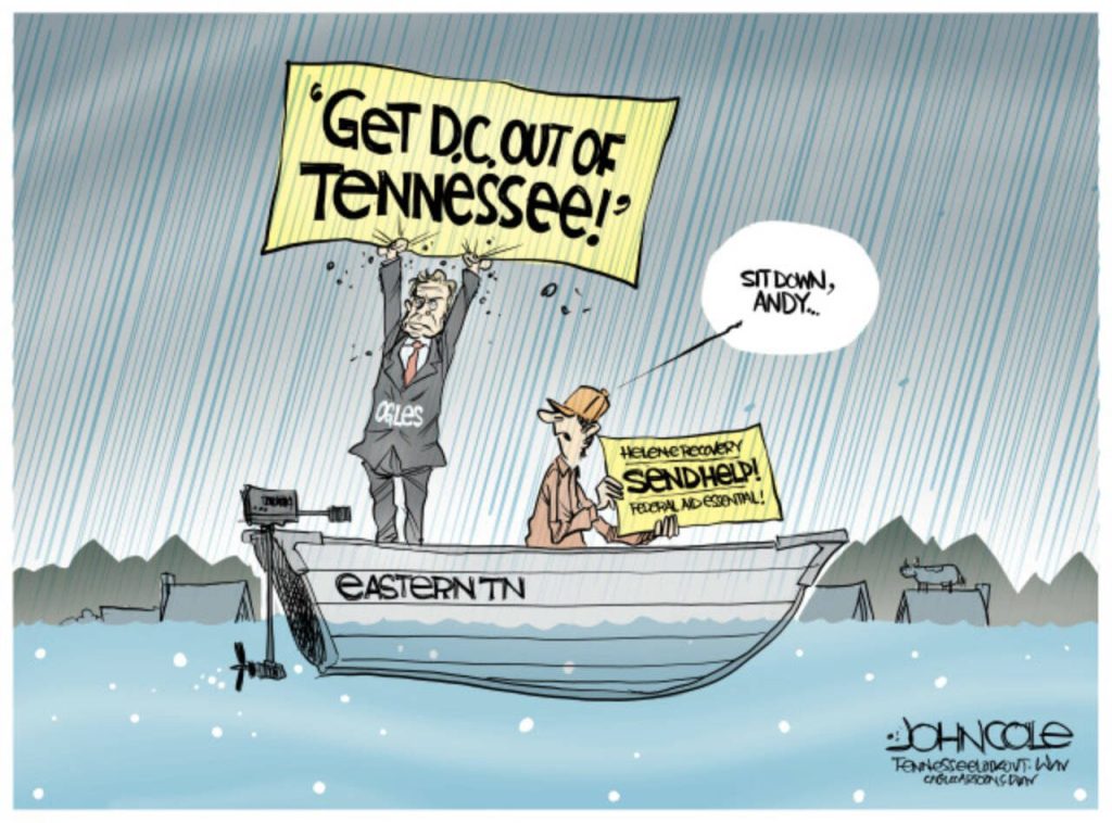 toon