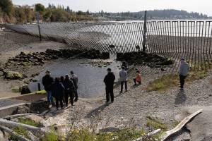 Attendees view the lower part of the Bernie Kai-Kai Salmon Hatchery operated by the Tulalip Tribes on Thursday on the Tulalip Reservation. (Will Geschke / The Herald)
