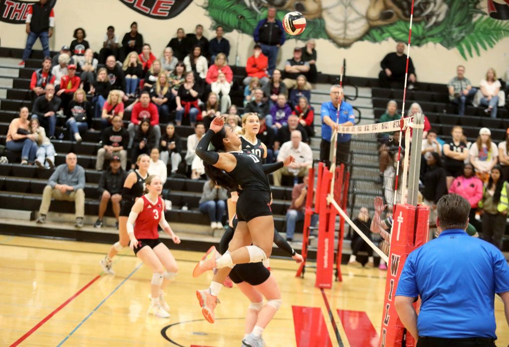 Archbishop Murphy sophomore setter/pin hitter Teuila Halalilo prepares to hit the ball in a Wesco 3A/2A South matchup against Edmonds-Woodway in Everett, Wash., on Oct. 9, 2024. The unranked Wildcats won 3-1 and handed the No. 10 Warriors their first loss of the season. (Taras McCurdie / The Herald)