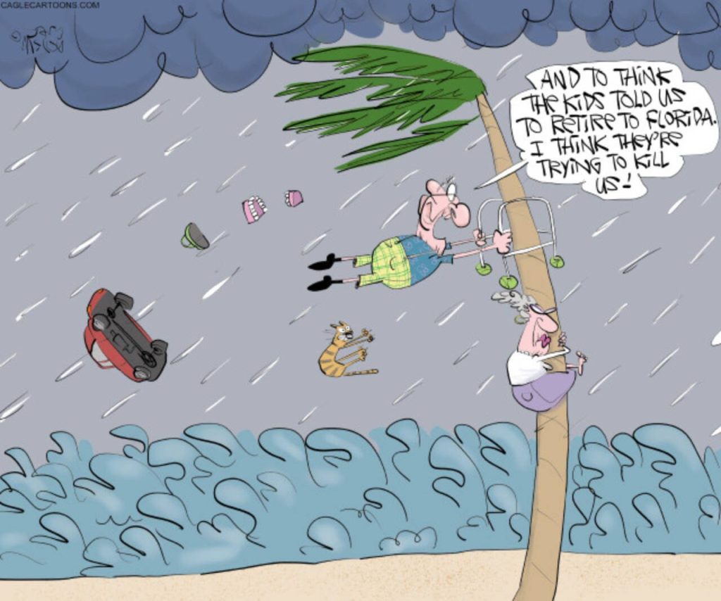 toon