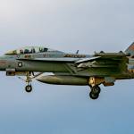 A Growler with VAQ-130 Zappers flies near Outlying Landing Field Coupeville. (Joe Kunzler / Simple Flying)