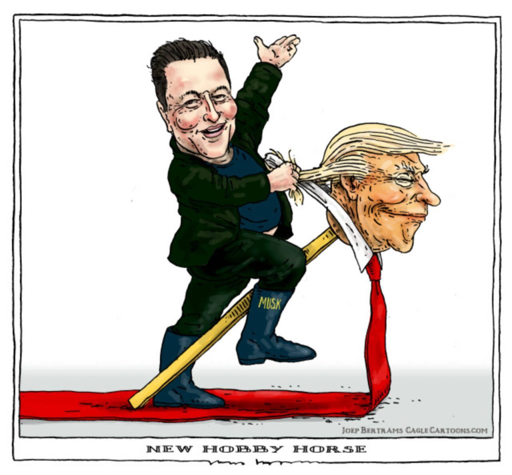 toon