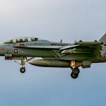 A Growler with VAQ-130 Zappers flies near Outlying Landing Field Coupeville. (Joe Kunzler / Simple Flying)