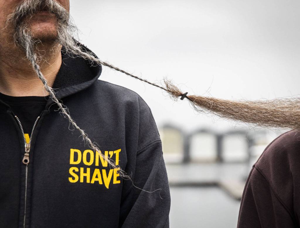 A clip holds together two beards during the Guinness World Record Beard Chain Attempt on Friday, Nov. 1, 2024 in Everett, Washington. (Olivia Vanni / The Herald)