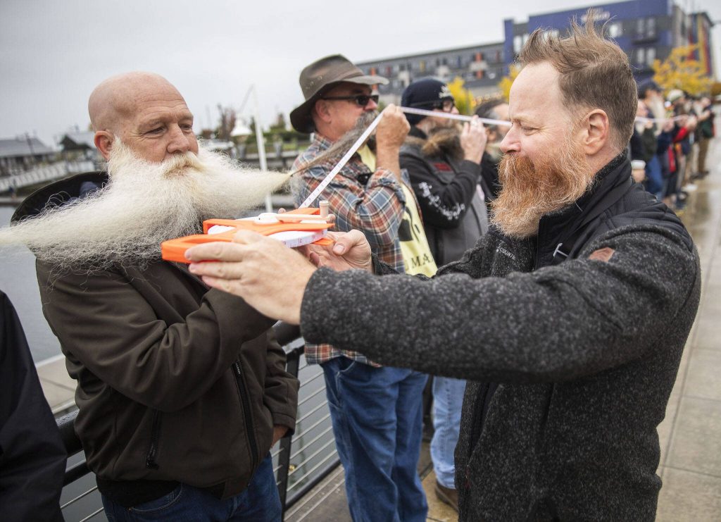 Bryan Nelson passes along a measuring tape for an official measurement during the Guinness World Record Beard Chain Attempt on Friday, Nov. 1, 2024 in Everett, Washington. (Olivia Vanni / The Herald)
