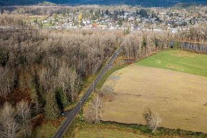 A view of the Shinglebolt Slough restoration project area on Friday, Nov. 15, 2024 in Sultan, Washington. (Olivia Vanni / The Herald)