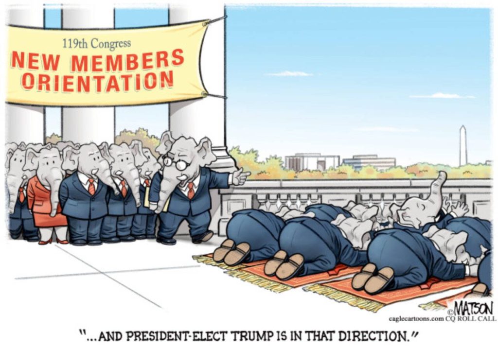 toon