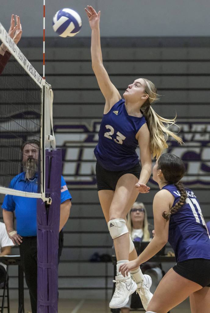 Lake Stevens Kamryn Strom spikes the ball over the net during the 4A district semifinal game on Thursday, Nov. 14, 2024 in Lynnwood, Washington. (Olivia Vanni / The Herald)