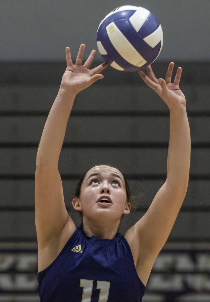 Lake Stevens Olivia Gonzales sets the ball during the 4A district semifinal game on Thursday, Nov. 14, 2024 in Lynnwood, Washington. (Olivia Vanni / The Herald)