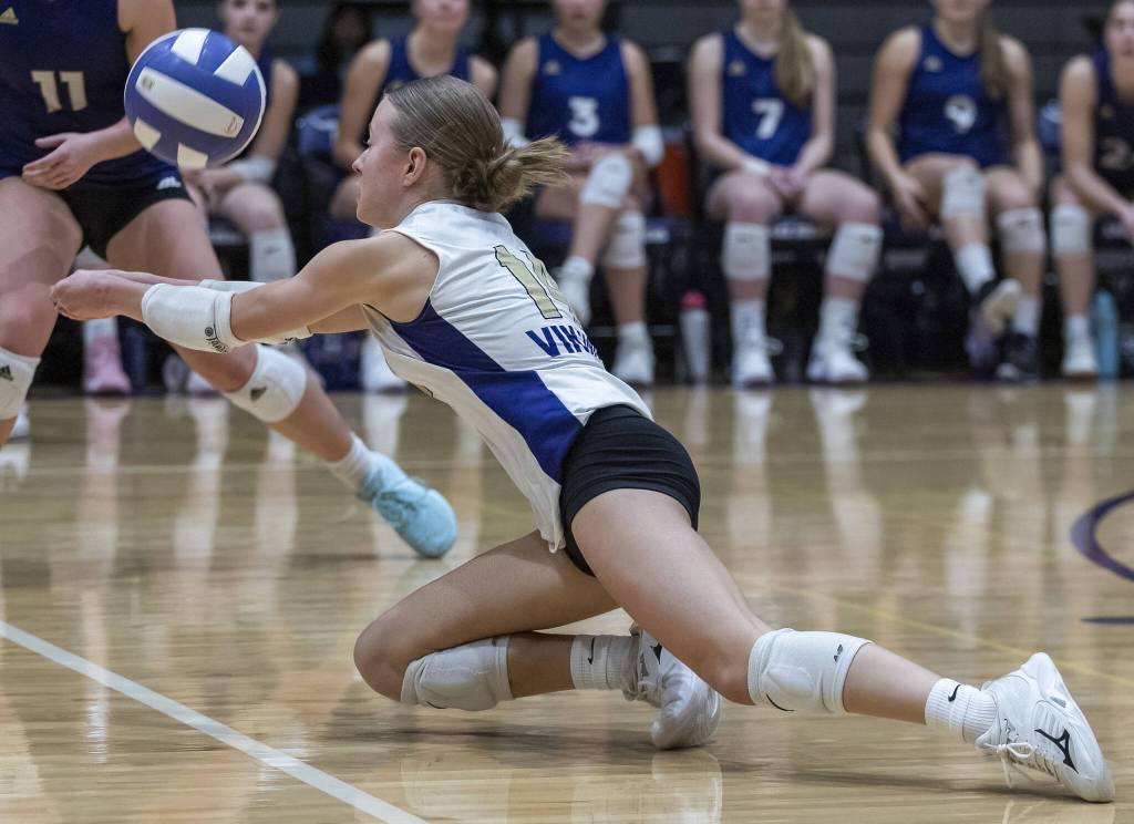 Lake Stevens Audrey Iseminger digs the ball during the 4A district semifinal game on Thursday, Nov. 14, 2024 in Lynnwood, Washington. (Olivia Vanni / The Herald)