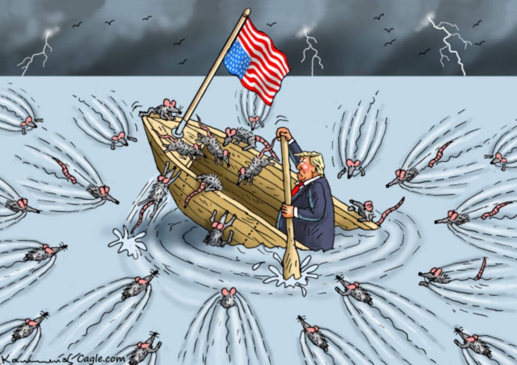 toon
