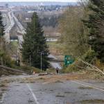 A person walks up 20th Street Southeast to look at the damage that closed the road on Wednesday, Nov. 20, 2024 in Lake Stevens, Washington. (Olivia Vanni / The Herald)