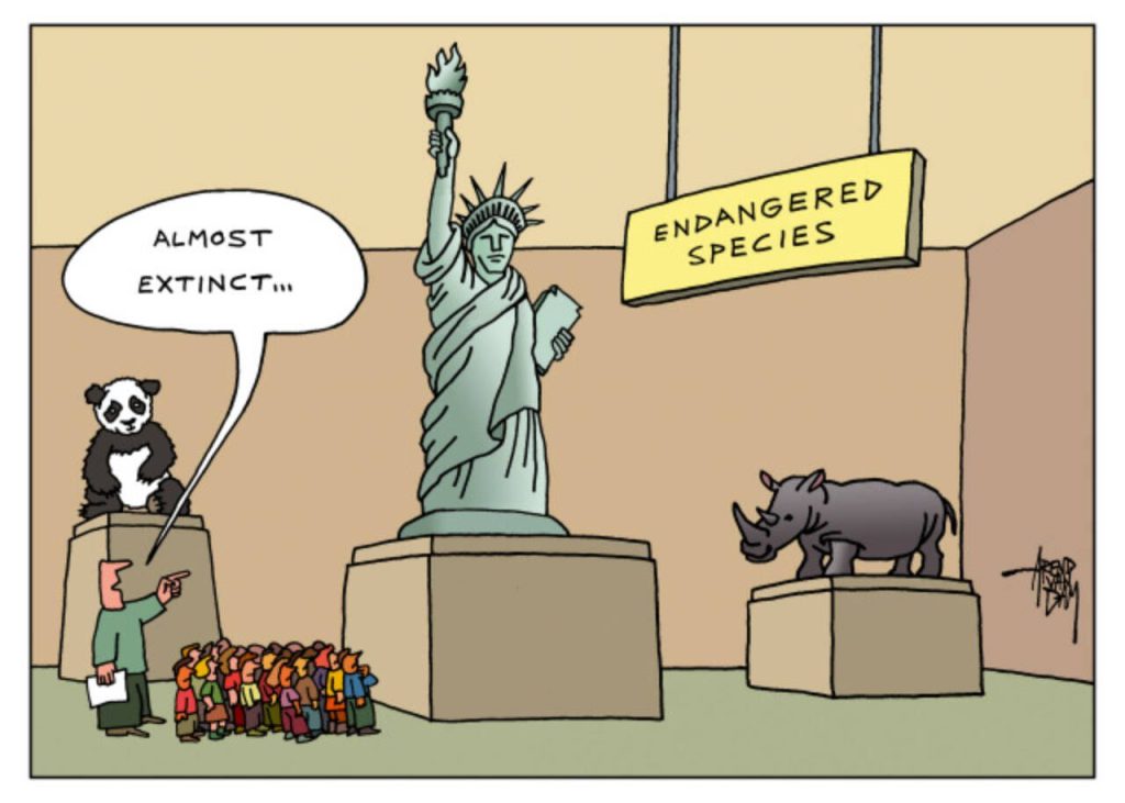 toon