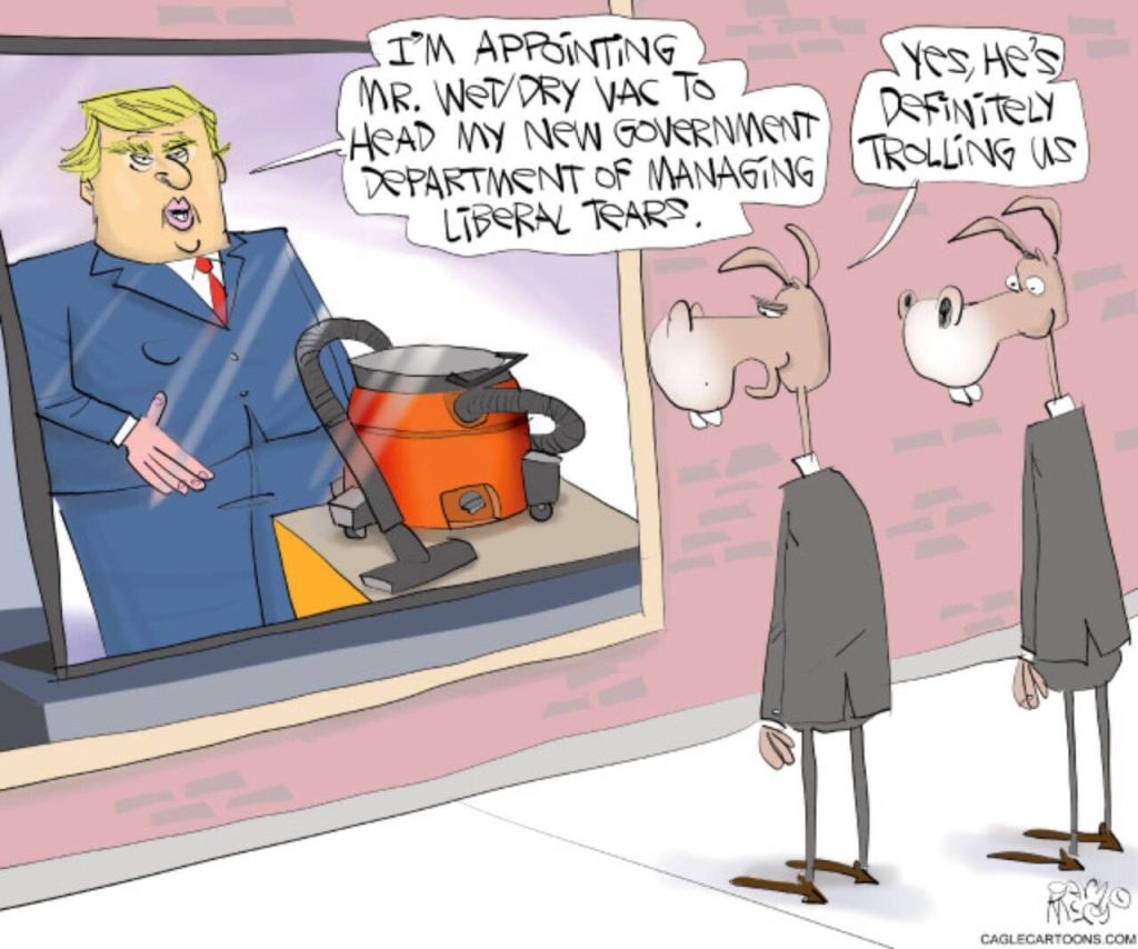 toon
