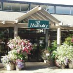 The buildings that housed Molbaks Garden + Home in Woodinville, Washington, have been demolished. (Photo provided by Molbaks)