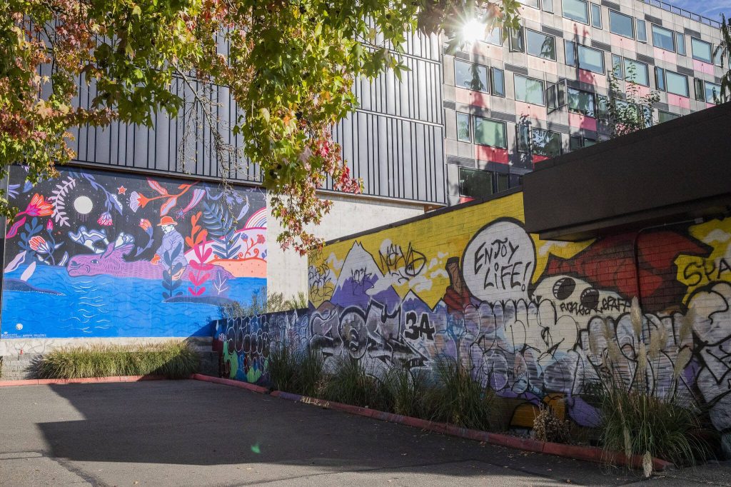 Murals and graffiti art cover the building outside of Roosevelt Station on Oct. 14, 2024 in Seattle, Washington. (Olivia Vanni / The Herald)