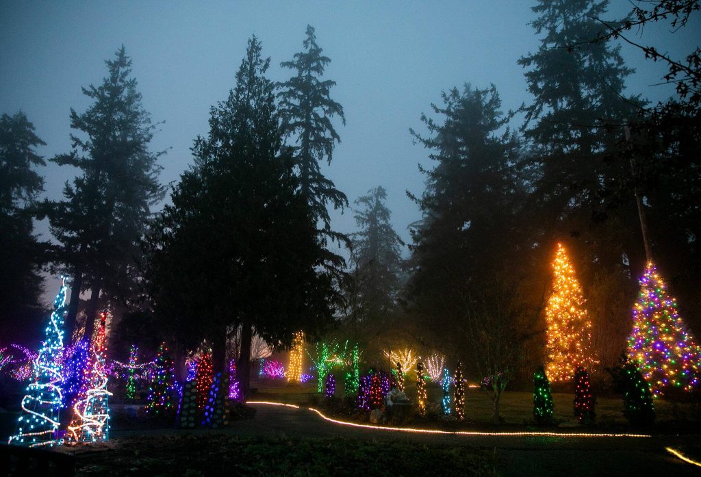 A fog hangs above the lights illuminating the Evergreen Arboretum during Wintertide Lights on Monday, Dec. 2, 2024 in Everett, Washington. (Olivia Vanni / The Herald)
