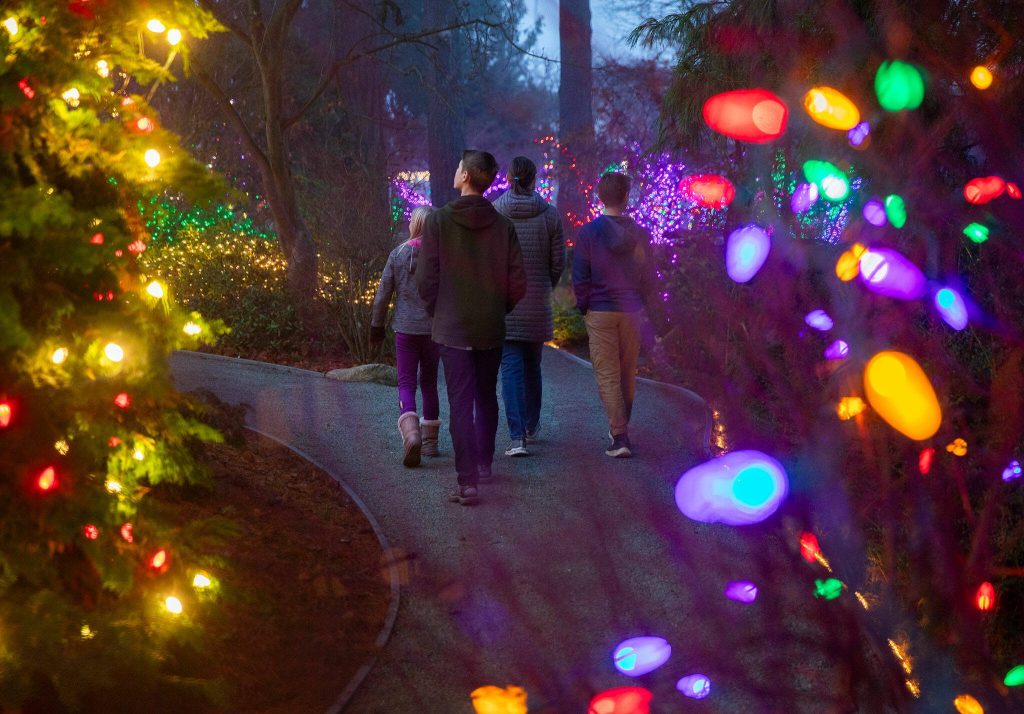 A family wanders through Wintertide Lights at the Evergreen Arboretum on Monday, Dec. 2, 2024 in Everett, Washington. (Olivia Vanni / The Herald)
