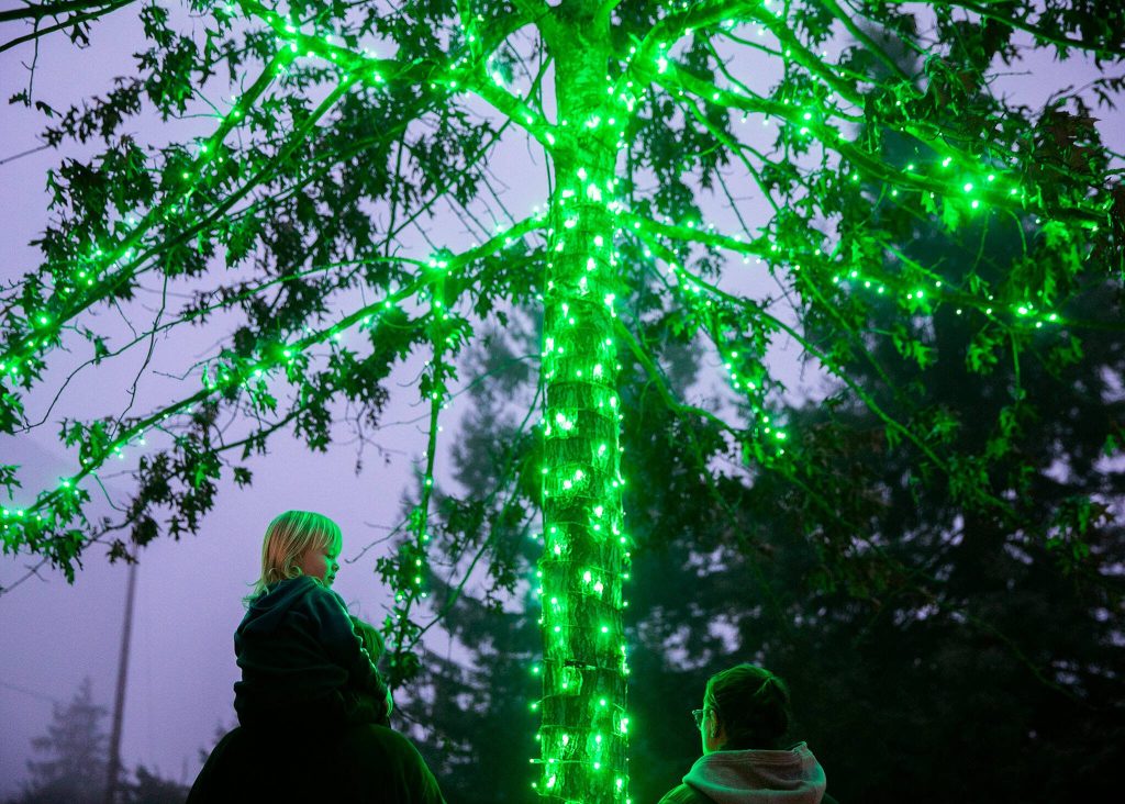 Noah Carson, 2, looks at the Wintertide Lights at the Everett Arboretum with his family on Monday, Dec. 2, 2024 in Everett, Washington. (Olivia Vanni / The Herald)