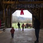 People explore the barn at Luckie Farms on Tuesday, Dec. 17, 2024 in Lake Stevens, Washington. (Olivia Vanni / The Herald)