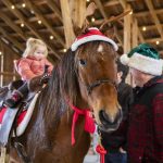 Madelyn Blankenship sits on the back of Rojo who is dressed in holiday attire at Luckie Farms on Tuesday, Dec. 17, 2024 in Lake Stevens, Washington. (Olivia Vanni / The Herald)