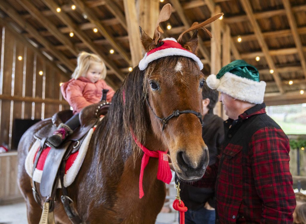 Madelyn Blankenship sits on the back of Rojo who is dressed in holiday attire at Luckie Farms on Tuesday, Dec. 17, 2024 in Lake Stevens, Washington. (Olivia Vanni / The Herald)