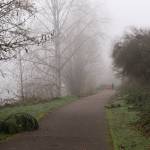Two people walk a dog along the Snohomish River on Monday, Dec. 2, 2024, in Snohomish, Washington. A regional trail, set to be constructed nearby, would connect Snohomish and Everett. (Will Geschke / The Herald)