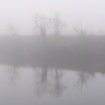The Snohomish River on Monday, Dec. 2 in Snohomish, Washington. (Will Geschke / The Herald)