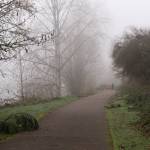 Two people walk a dog along the Snohomish River on Monday, Dec. 2 in Snohomish, Washington. A regional trail, set to be constructed nearby, will connect Snohomish and Everett. (Will Geschke / The Herald)