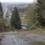 A person walks up 20th Street SE to look at the damage that closed the road on Nov. 20 in Lake Stevens. (Olivia Vanni / The Herald)