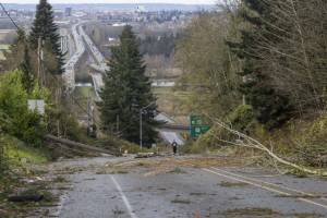 A person walks up 20th Street Southeast to look at the damage that closed the road on Wednesday, Nov. 20, 2024 in Lake Stevens, Washington. (Olivia Vanni / The Herald)