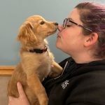 Dedicated to ending the euthanasia of healthy and adoptable pets, The NOAH Center in Stanwood combines innovative programs with a family-friendly adoption approach that has helped over 56,000 animals find loving homes since 2003. Photo courtesy of the NOAH Center.