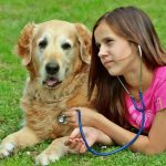Were offering learning opportunities to the community, such as shadowing a vet tech for a day, joining an animal transfer mission, or even cuddling puppies. These help people enjoy themselves and connect directly with our mission, says Jennifer Holocker, marketing and development director for The NOAH Center in Stanwood. Photo courtesy of the NOAH Center.