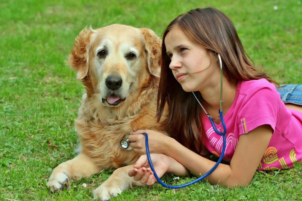 Were offering learning opportunities to the community, such as shadowing a vet tech for a day, joining an animal transfer mission, or even cuddling puppies. These help people enjoy themselves and connect directly with our mission, says Jennifer Holocker, marketing and development director for The NOAH Center in Stanwood. Photo courtesy of the NOAH Center.
