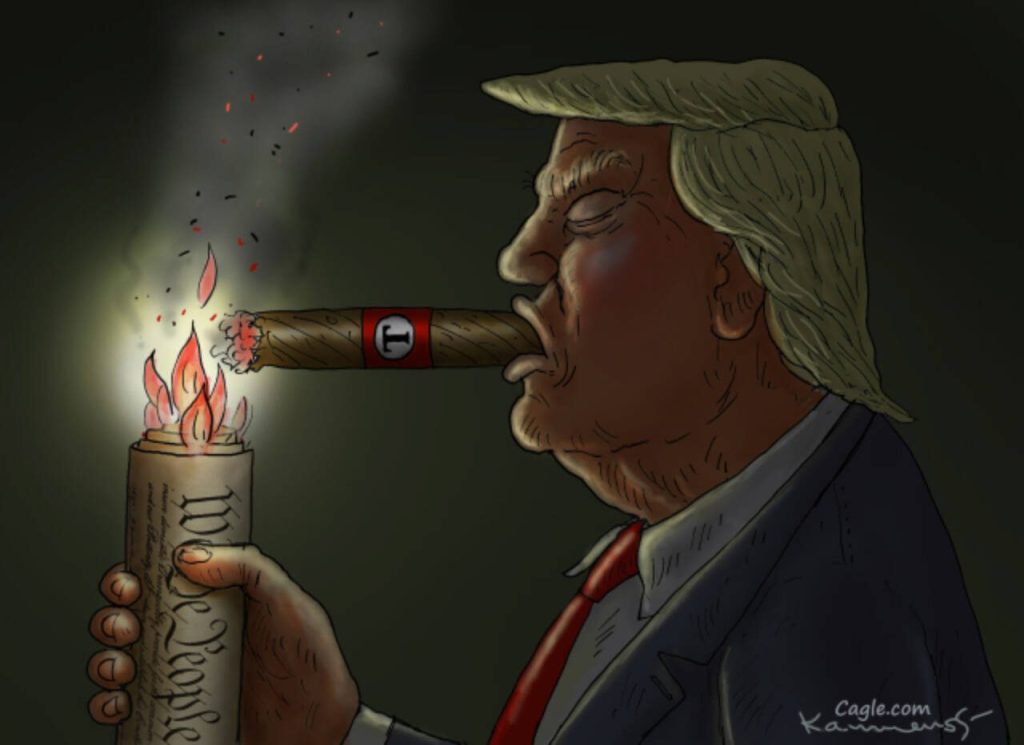 toon