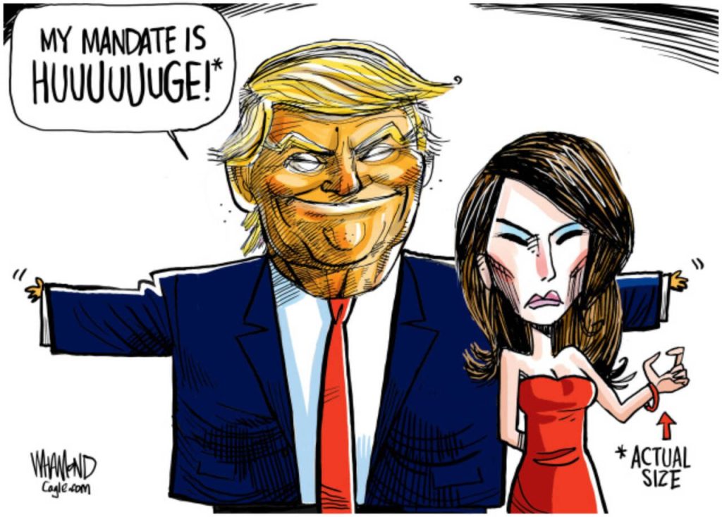 toon