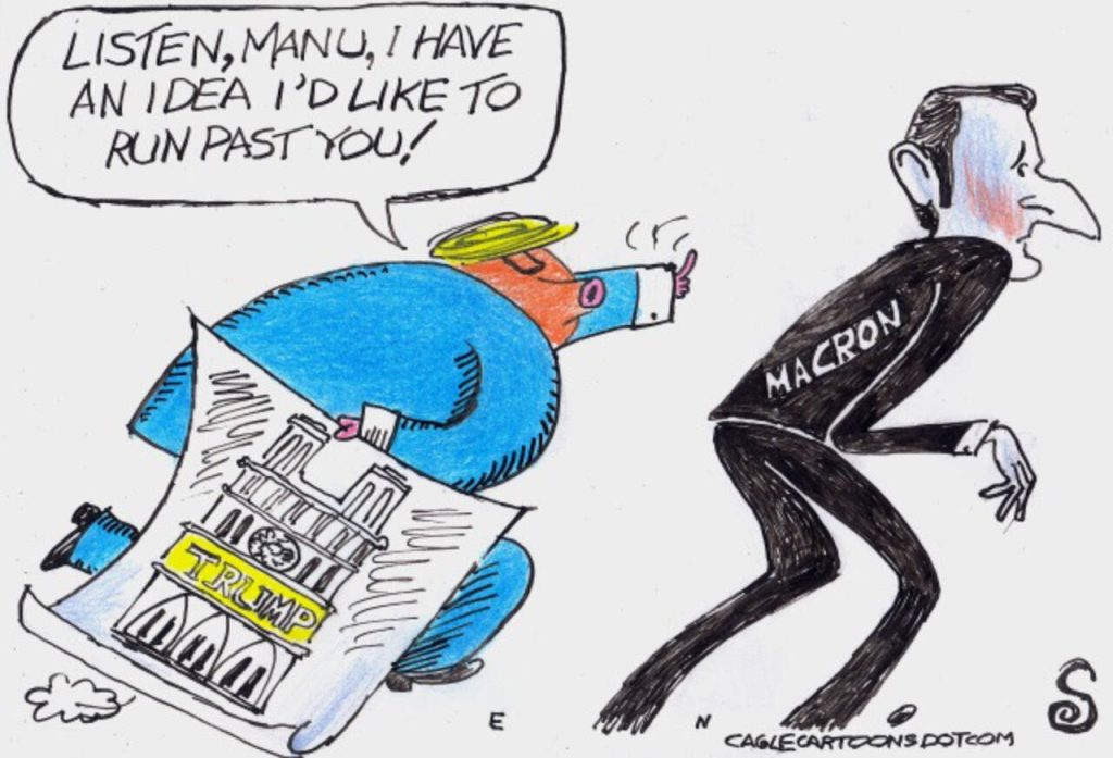 toon