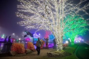 People take photos of the lights surrounding the the fountain at the the entrance to the Tulalip Resort & Casino in Tulalip, Washington. Olivia Vanni / The Herald