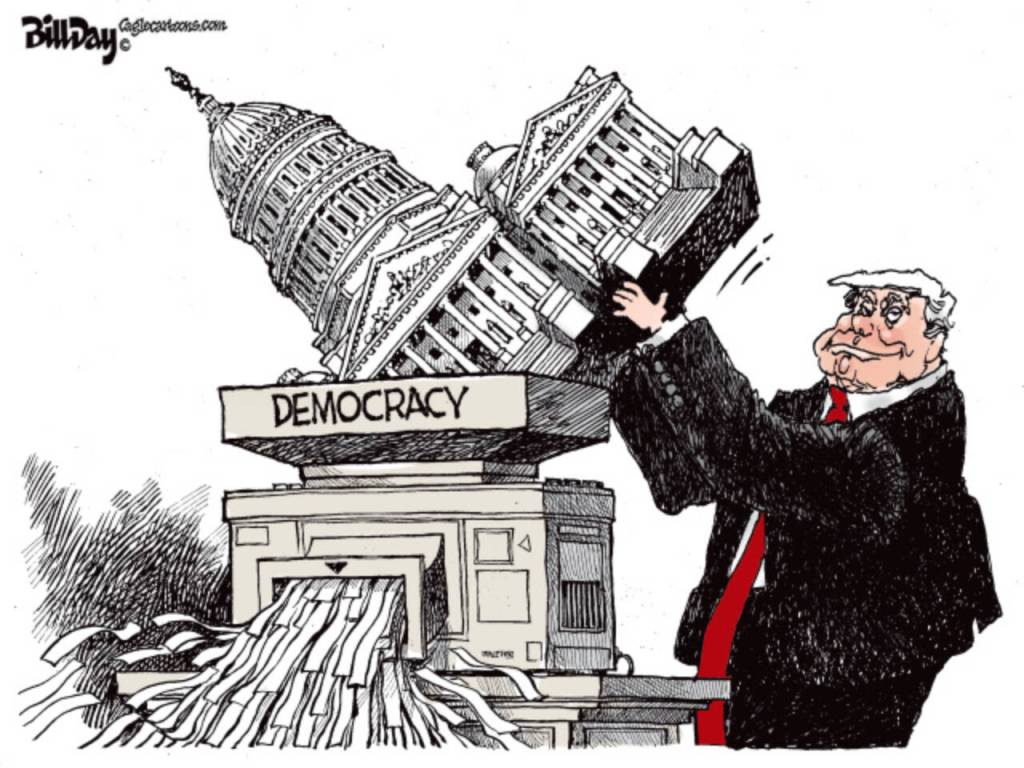 toon