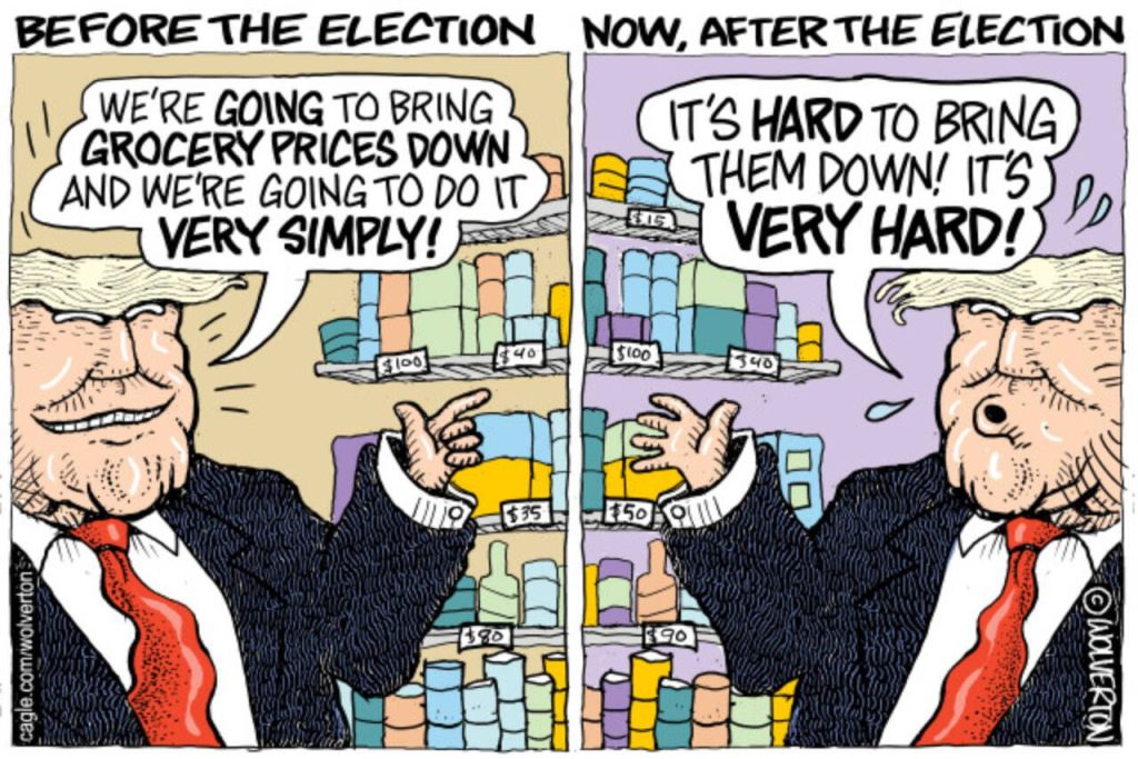 toon
