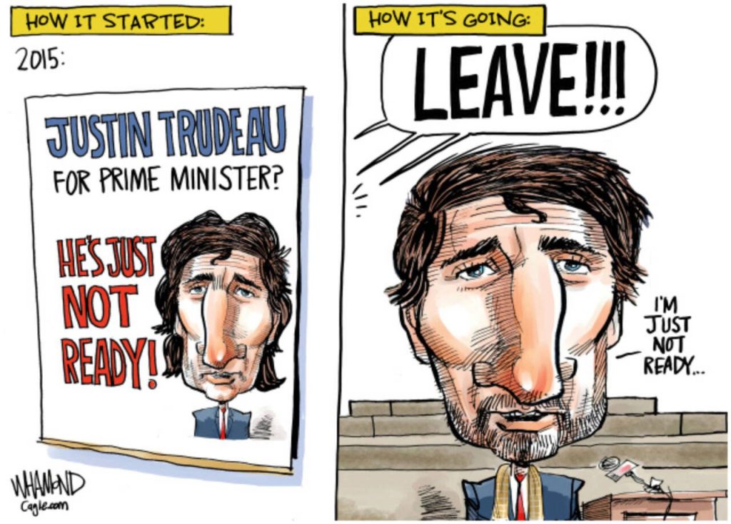 toon