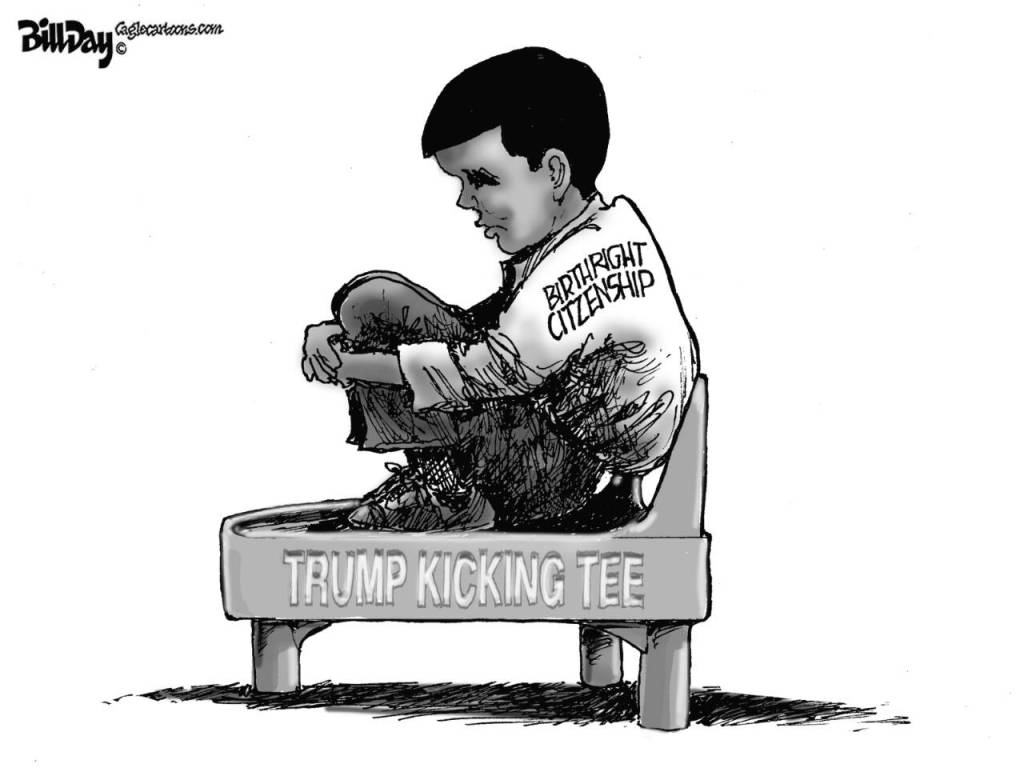 toon