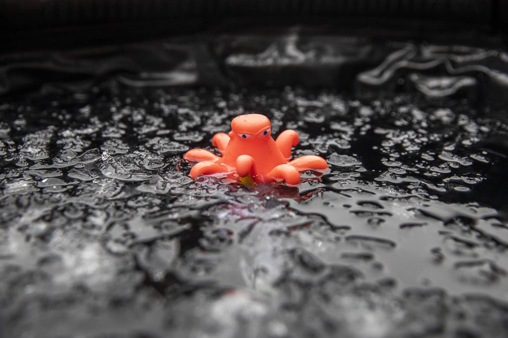 An octopus swimming pool thermometer floats in an ice bath on Oct. 15 in Everett.