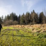 A 3.4 acre conservation easement of Allen Creek managed by Tulalip Tribes on Monday, Dec. 23, 2024 in Marysville, Washington. (Olivia Vanni / The Herald)