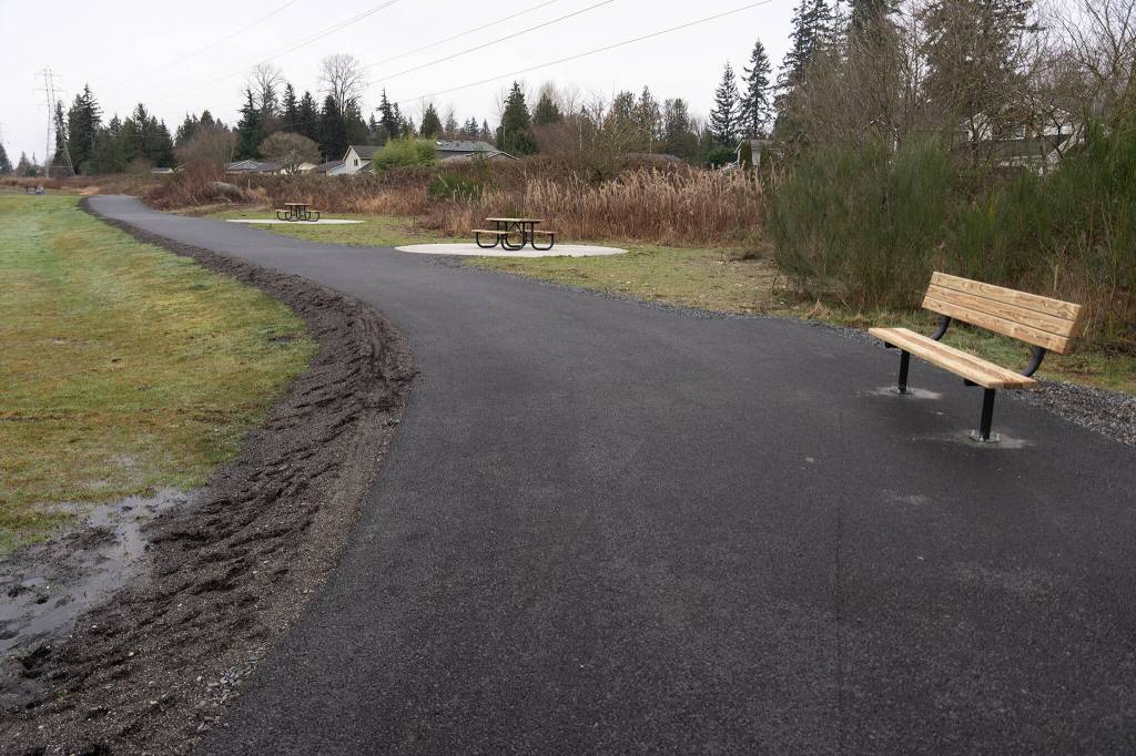 Phase 0 of the Bayview Trail in Lake Stevens. Jan. 6, 2025. (Will Geschke / The Herald)