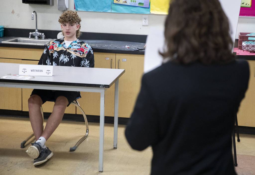 Andrew Brower answers questions as a witness during a mock trial being held at 10th Street Middle School on Friday, Jan. 10, 2025, in Marysville, Washington. (Olivia Vanni / The Herald)