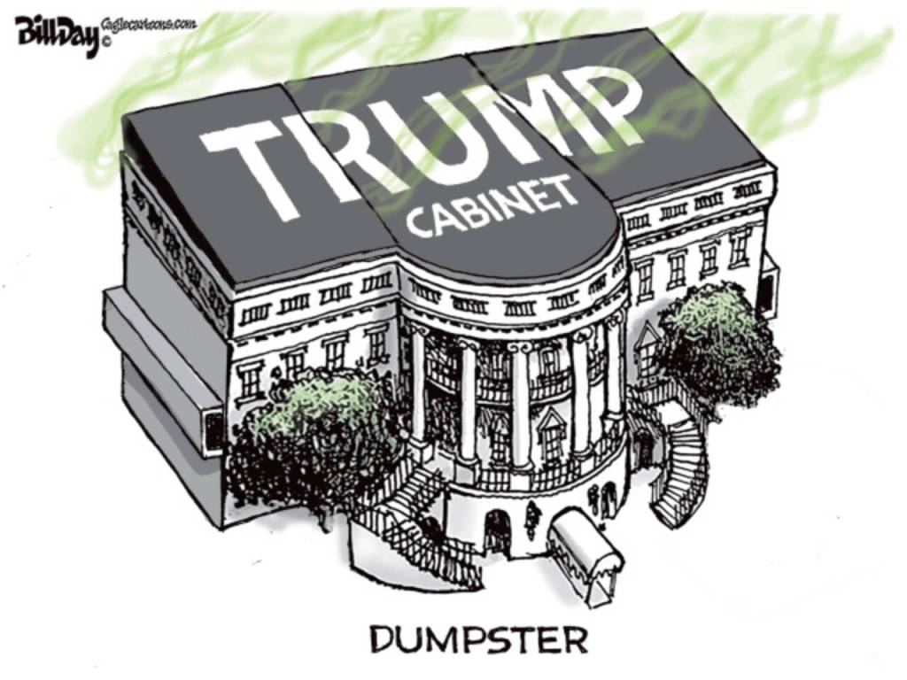 toon