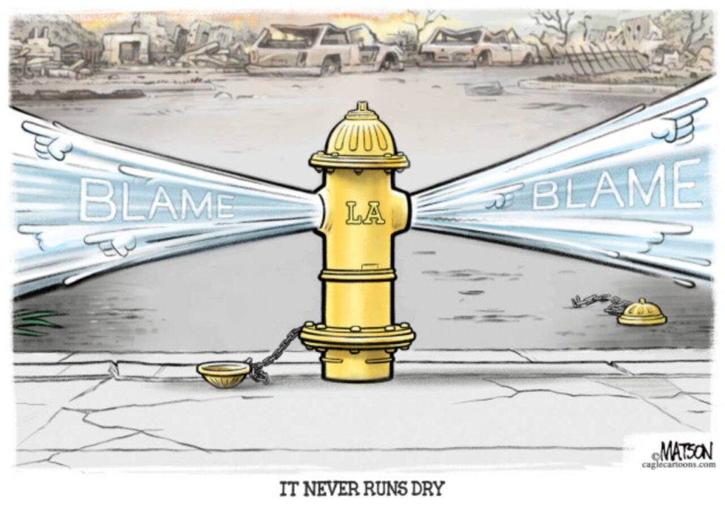 toon
